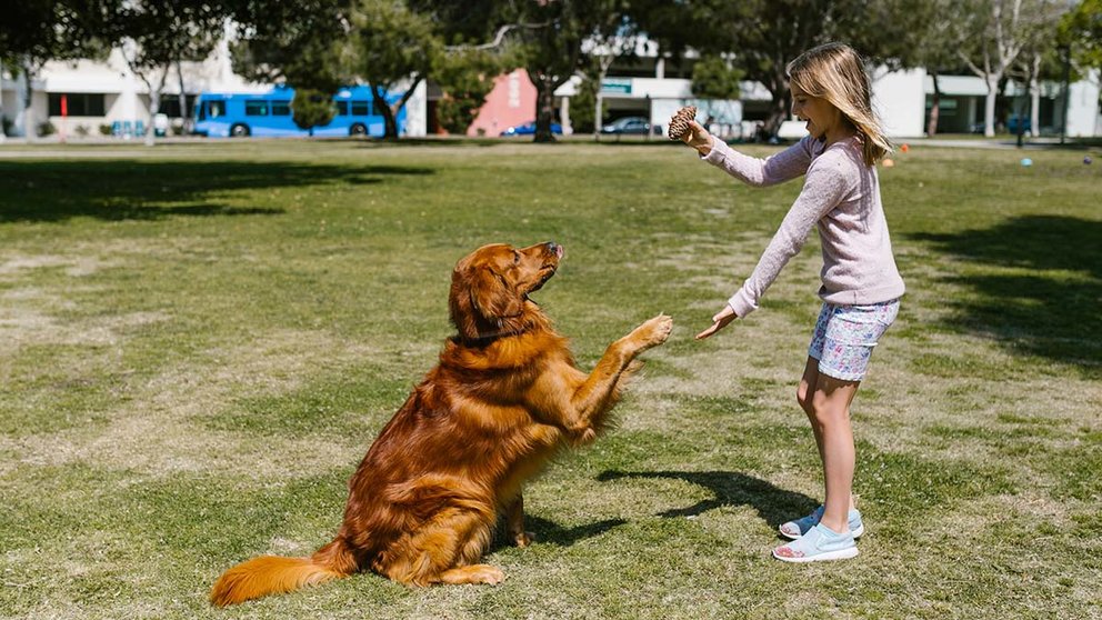 Imagen de una niña jugando con un perro. PEXELS