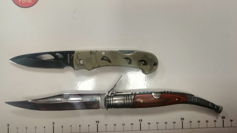 Imagen de las armas decomisadas en Noáin. POLICÍA FORAL
