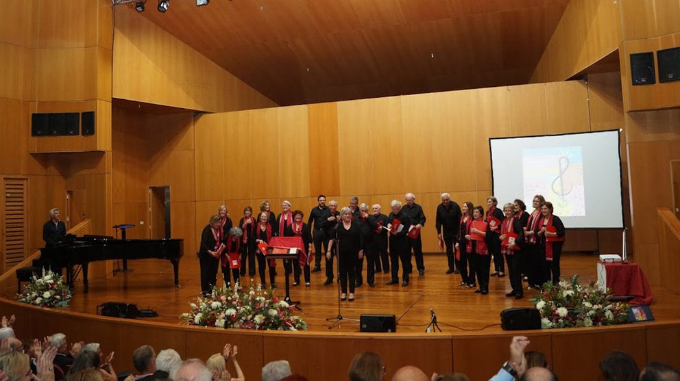 Actuación del coro del Colegio de Médicos de Navarra en Las Palmas de Gran Canaria en el XI Encuentro Nacional de Coros de Colegio de Médicos. CEDIDA