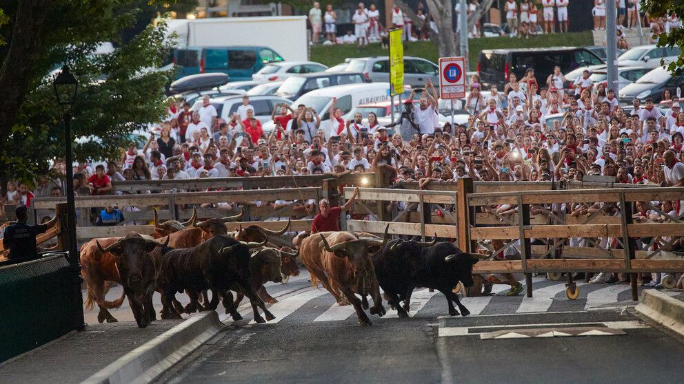 Los toros de la ganadería de Núñez del Cuvillo, que correrán el quinto encierro de las Fiestas de San Fermín 2023, son trasladados la noche anterior desde los corrales del gas hasta los de Santo Domingo, en lo que se conoce como "El Encierrillo". IÑIGO ALZUGARAY