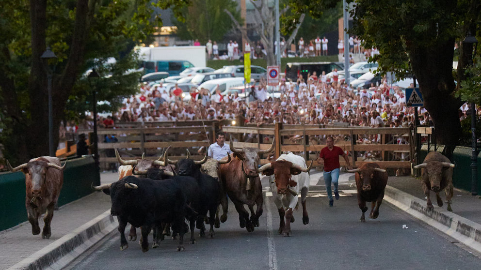 Los toros de la ganadería de Núñez del Cuvillo, que correrán el quinto encierro de las Fiestas de San Fermín 2023, son trasladados la noche anterior desde los corrales del gas hasta los de Santo Domingo, en lo que se conoce como "El Encierrillo". IÑIGO ALZUGARAY