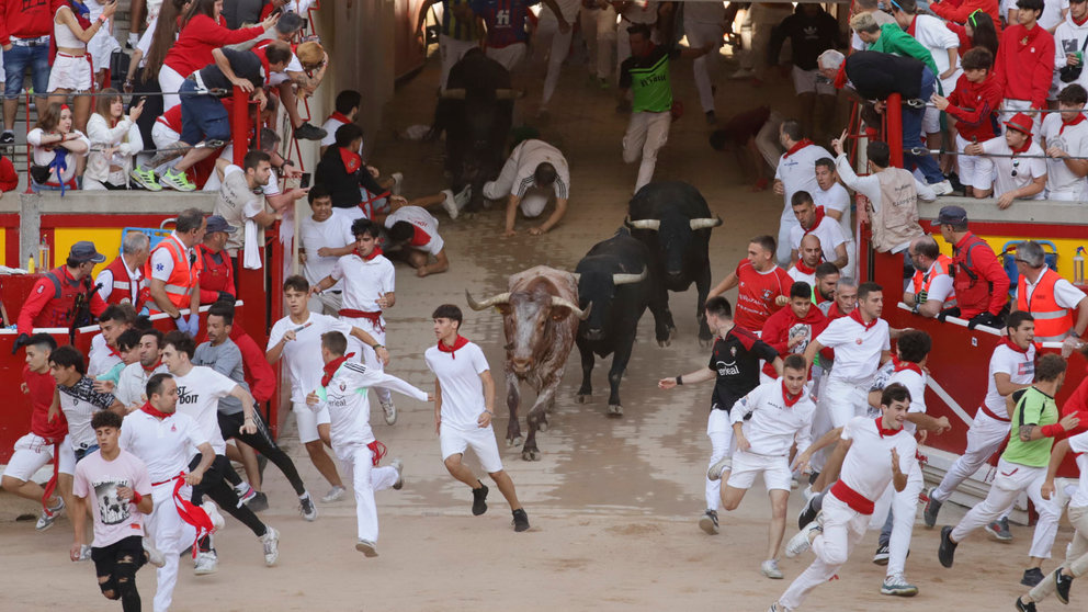 Octavo encierro de las fiestas de San Fermín 2023 desde la plaza de toros con toros de Miura. HÉCTOR NAVARRO