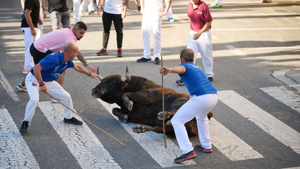 Quinto encierro de las fiestas de Tafalla 2023 con toros de la ganadería Hermanas Azcona. PABLO LASAOSA