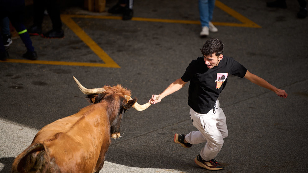 Tarde de vacas en el último día de fiestas de Noáin 2023. PABLO LASAOSA