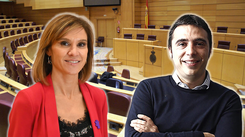 Los senadores socialistas Nuria Medina y Antonio Magdaleno. 