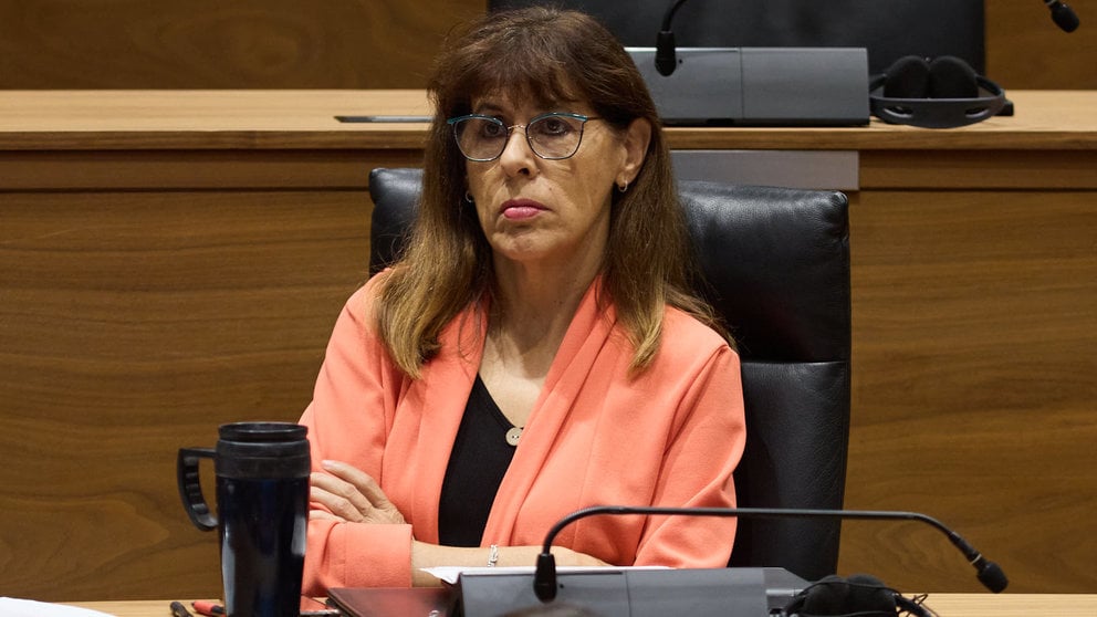 Maite Esporrín en el pleno del Parlamento de Navarra. IÑIGO ALZUGARAY