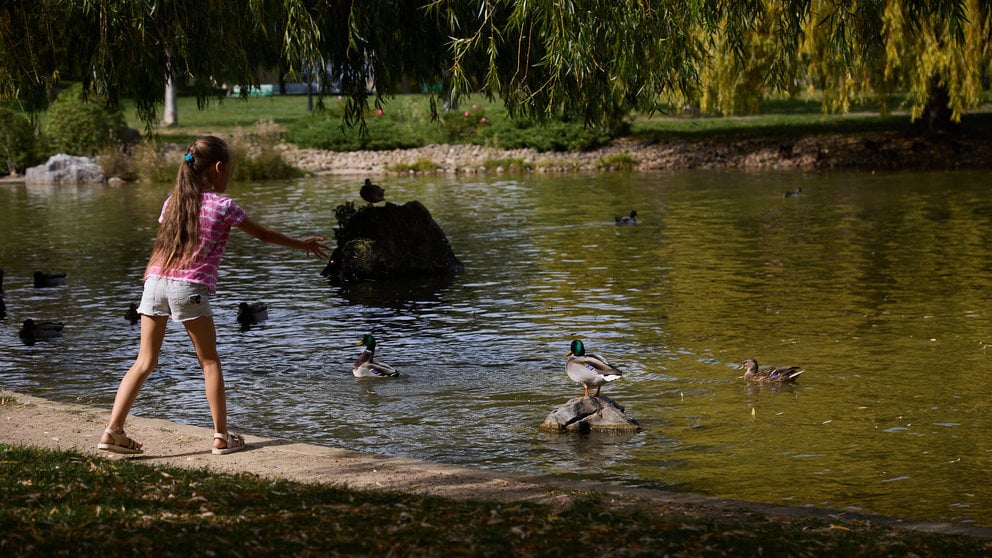 Una niña da de comer a los patos en el lago del Parque de Yamaguchi en Pamplona. IÑIGO ALZUGARAY