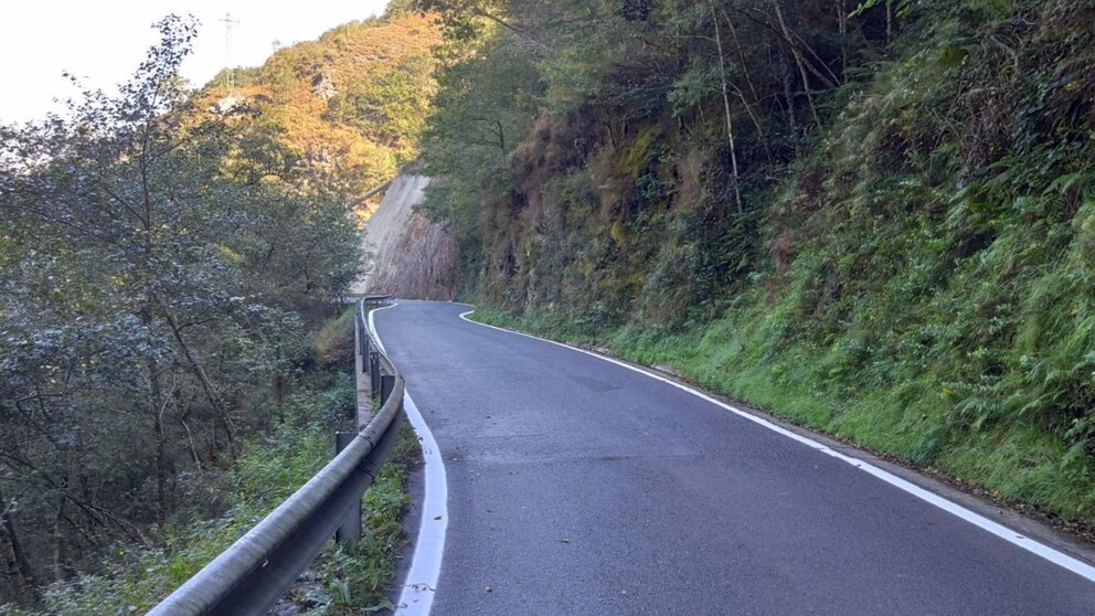 Uno de los tramos de la carretera donde se han realizado las mejoras. GOBIERNO DE NAVARRA