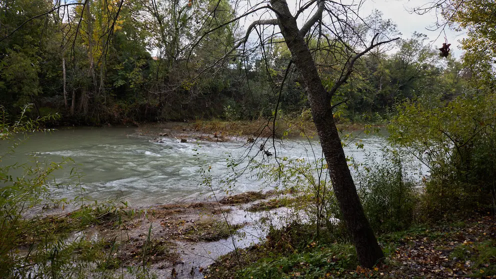 R&iacute;o Arga a su paso por Pamplona a la altura del Puente del Plazaola. I&Ntilde;IGO ALZUGARAY