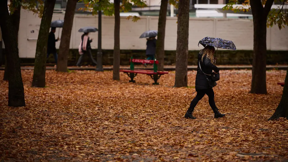 El oto&ntilde;o llega a Pamplona. PABLO LASAOSA