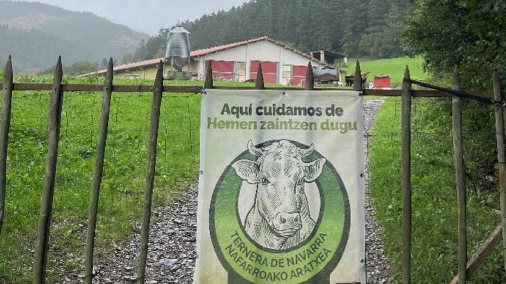 Imagen de una granja IGP Ternera de Navarra. CEDIDA