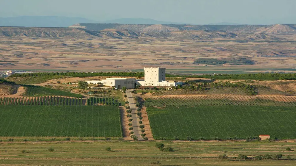 Bodega Pago de Cirsus, una de las marcas distinguidas por la Cofrad&iacute;a del Vino de Navarra. PAGO DE CIRSUS