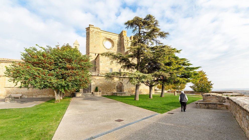 Iglesia de San Pedro en Viana en Navarra. Francis Vaquero