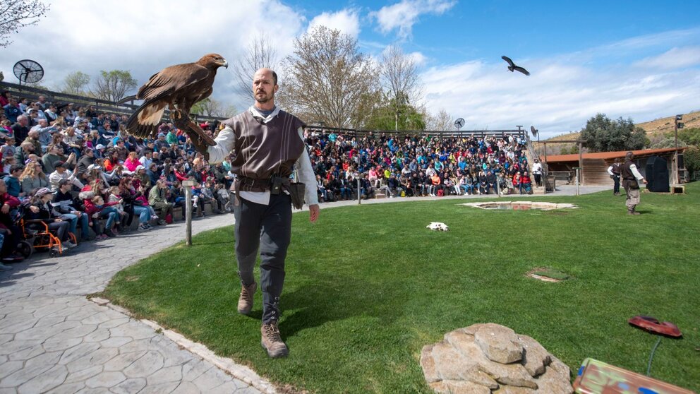 Exhibición de vuelo de aves rapaces en Sendaviva. ARCHIVO