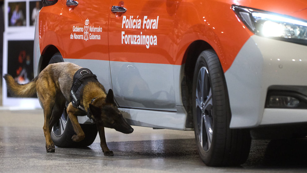 Jornada de puertas abiertas de la Policía Foral en el Navarra Arena de Pamplona. IÑIGO ALZUGARAY