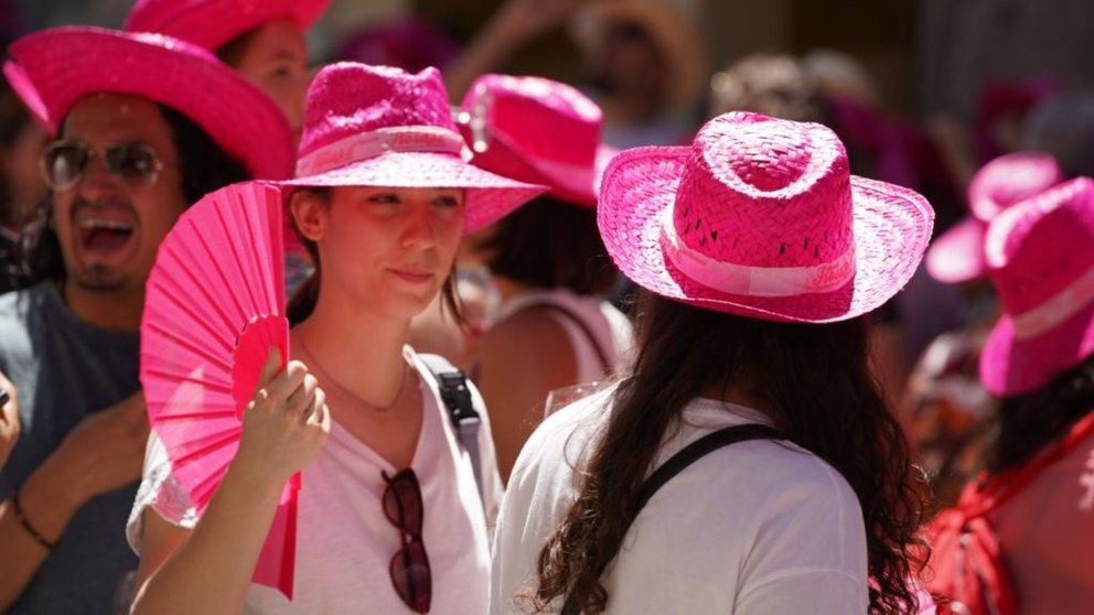 La 15ª Fiesta del Rosado de Navarra se celebra en Pamplona con 14 bodegas distintas. CEDIDA