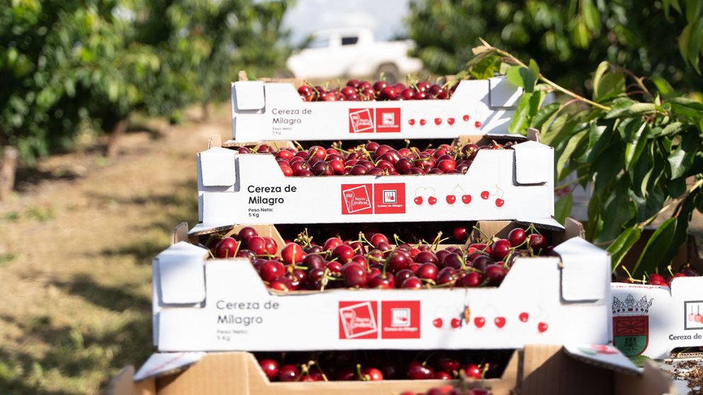 Barquillas de la marca colectiva 'Cereza de Milagro'. CEDIDA