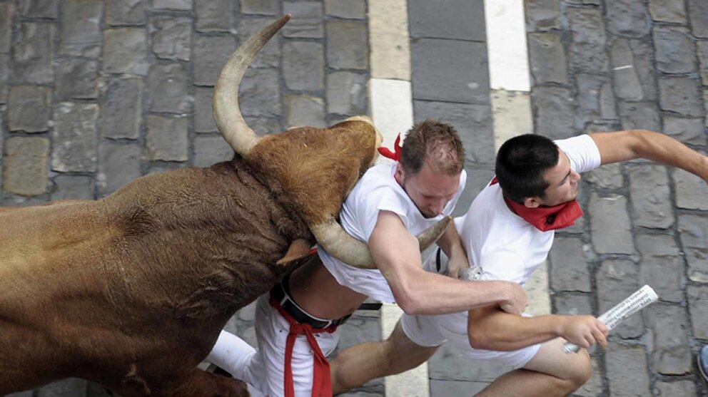 Ilustrado, de Nuñez del Cuvillo durante el séptimo encierro de San Fermín de los morlacos encuna a dos corredores. EFE