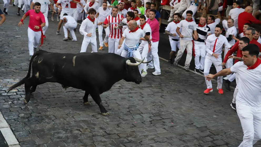 Segundo encierro de las fiestas de San Fermín 2024 con toros de Cebada Gago en el tramo de telefónica. HECTOR NAVARRO