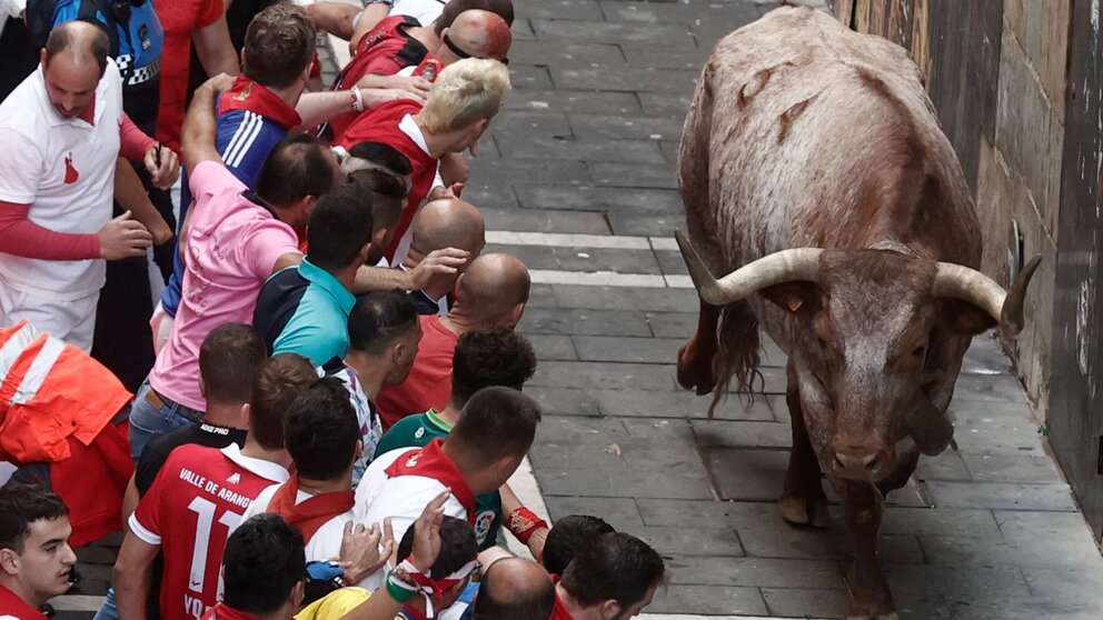 Quinto encierro de San Fermín el día 11 de julio de 2024 con toros de Domingo Hernández en Pamplona en el tramo de Estafeta. EFE - JESÚS DIGES