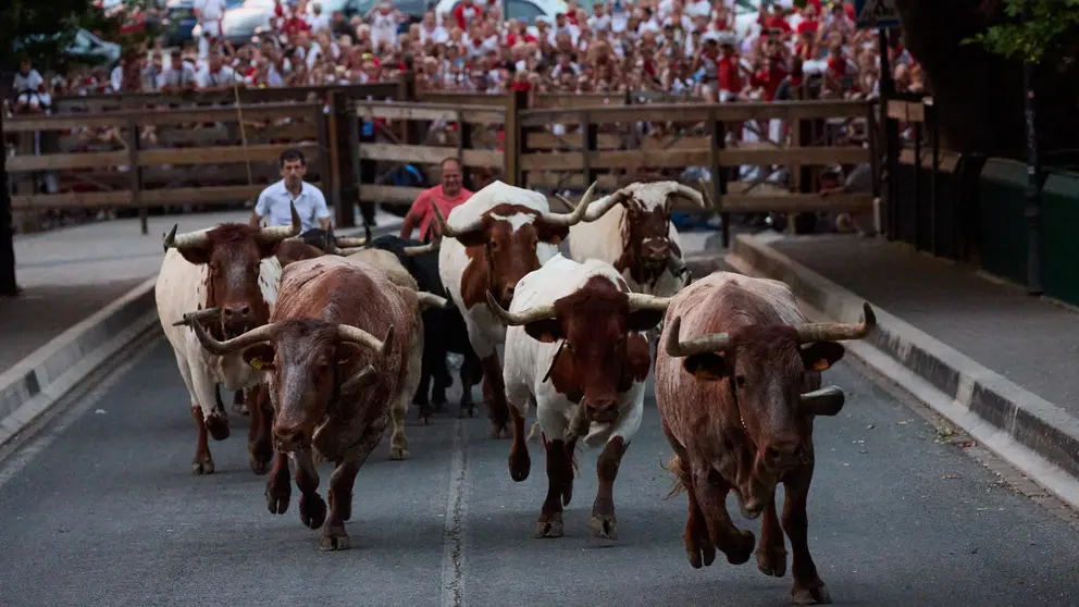 Los toros de la ganadería de Jandilla, que correrán el sexto encierro de las Fiestas de San Fermín 2024, son trasladados la noche anterior desde los corrales del gas hasta los de Santo Domingo, en lo que se conoce como "El Encierrillo". IÑIGO ALZUGARAY