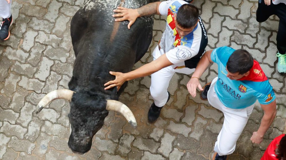 Octavo encierro de San Fermín el día 14 de julio de 2024 con toros de Miura en Pamplona en el tramo de la bajada al callejón. EFE - VILLAR LÓPEZ