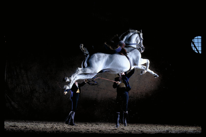 Navarra Arena acogerá el espectáculo de ballet ecuestre 'Cómo bailan los caballos andaluces'. NAVARRA ARENA