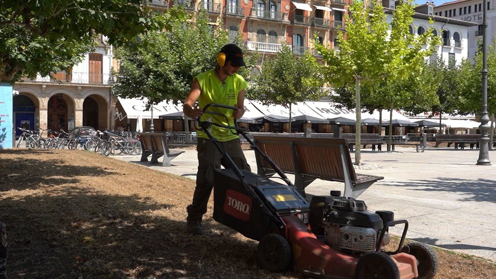 Una operaria trabaja en la recuperación de jardines en San Fermín. AYUNTAMIENTO DE PAMPLONA