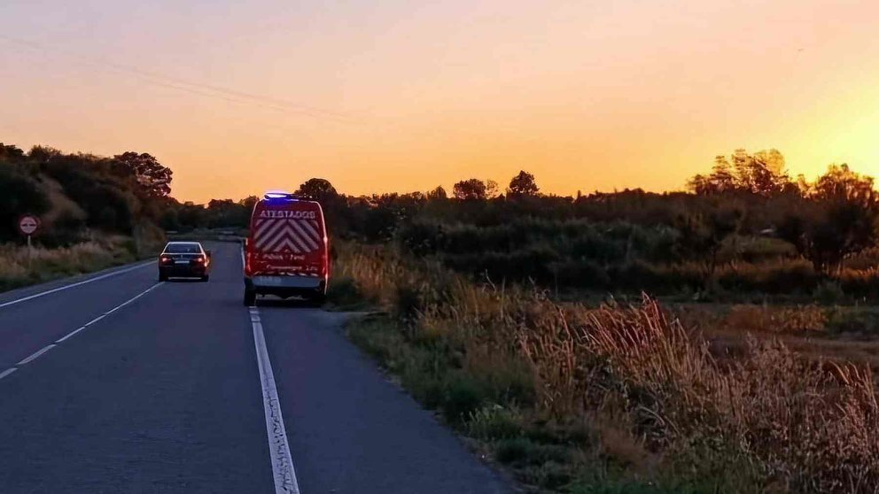 Lugar exacto de la carretera NA-128 en la que fue atropellado el vecino de Mélida. POLICÍA FORAL