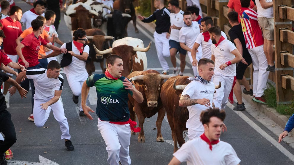 Primer encierro de fiestas de Tudela 2024 con novillos de la ganadería de Emilio Escuelas de Cáceres.