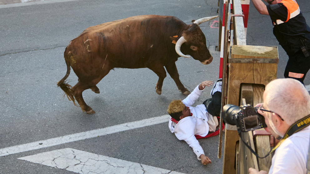 Primer encierro de fiestas de Tudela 2024 con novillos de la ganadería de Emilio Escuelas de Cáceres.