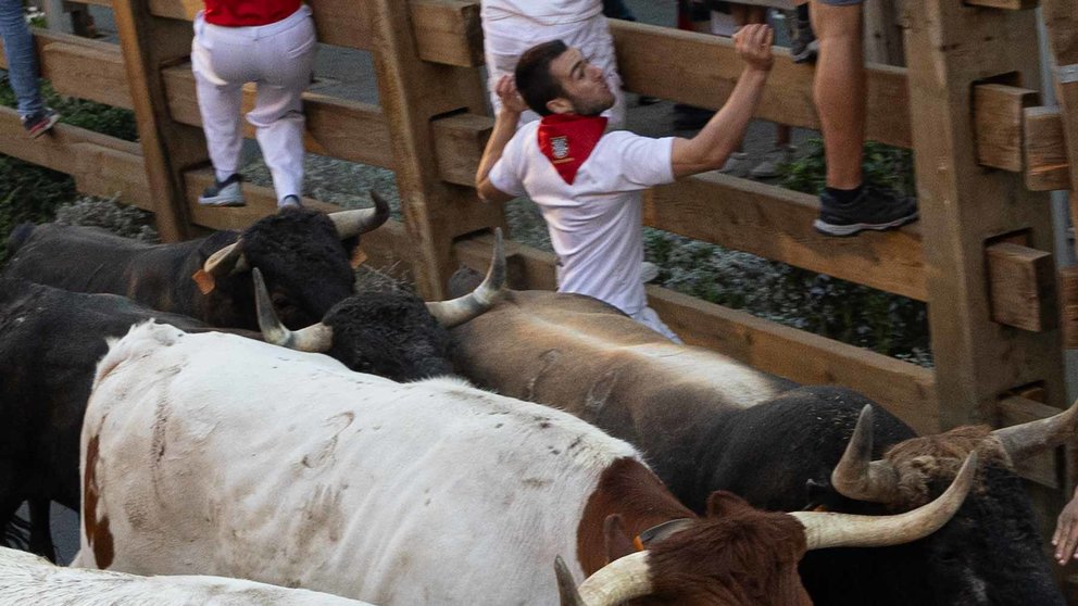 Tercer encierro de Tudela, con toros de José Luis Cuartero de Pradilla de Ebro. Maite H. Mateo-18