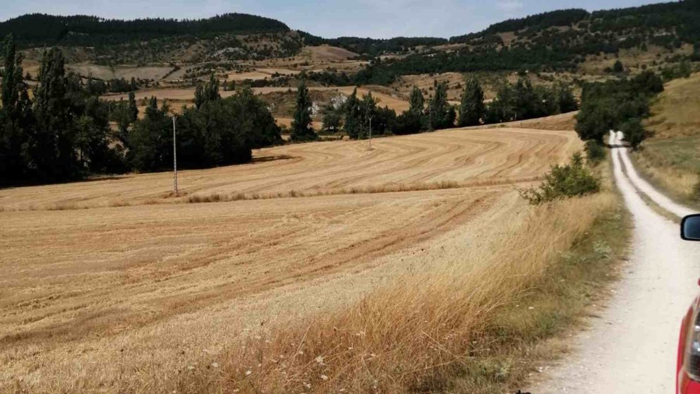 Paraje de Laquidáin en las inmediaciones de Irulegui en el que ha sido encontrada la mujer. POLICÍA FORAL