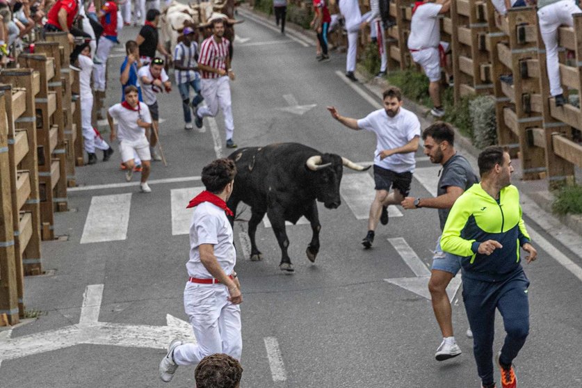 Cuarto encierro de Tudela con toros de Nuñez del Cuvillo y los Espartales. Maite H. Mateo-23