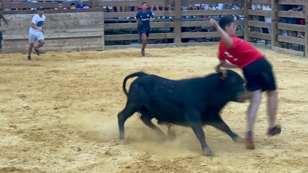 Un recortador resulta corneado durante las fiestas de Mélida.