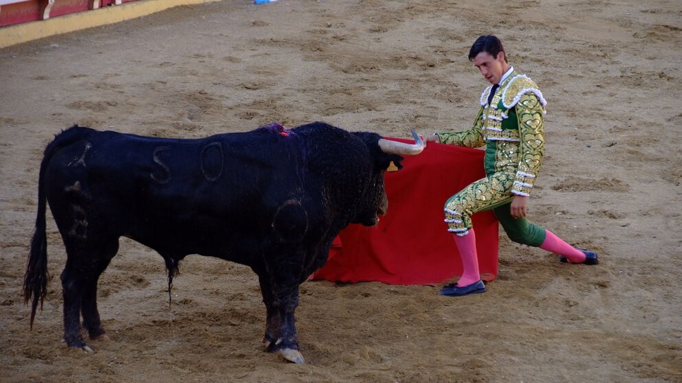 Diego García sale por la puerta grande en Lodosa. ÁLVARO ALONSO