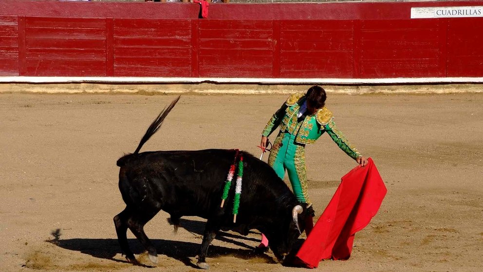 Roberto Martín en el festejo de las fiestas de Estella con la ganadería Hermanas Azcona de Olite. Álvaro Alonso