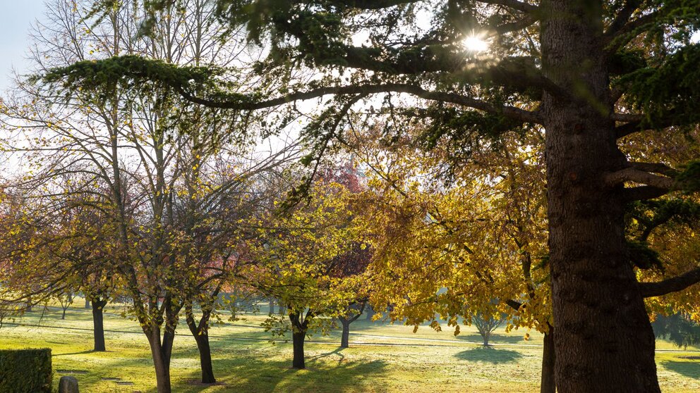 El campus de la Universidad de Navarra es el parque más grande de Pamplona, con 113 hectáreas. CEDIDA