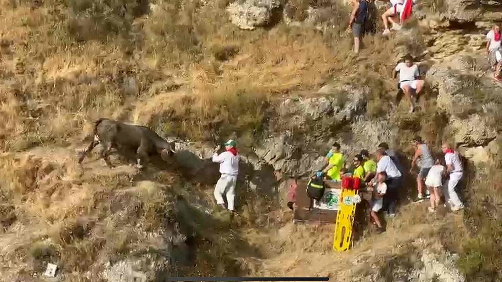 Una de las vacas en pleno monte envistiendo espectadores en el Segundo Encierro del Pilón de Falces de 2024.