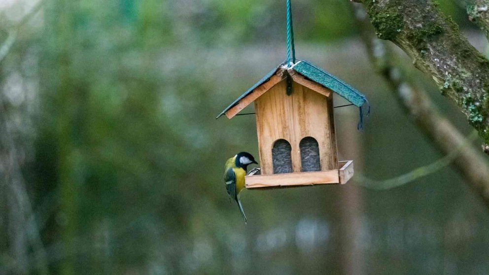 La instalación de cajas nido se considera una estrategia adecuada para que se incremente la
presencia de aves que favorezcan el ecosistema y la biodiversidad. PIXABAI