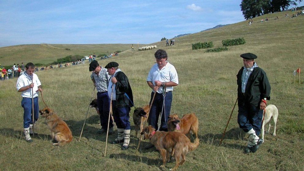 Concurso de perros pastor en Uharte-Arakil. VISIT NAVARRA