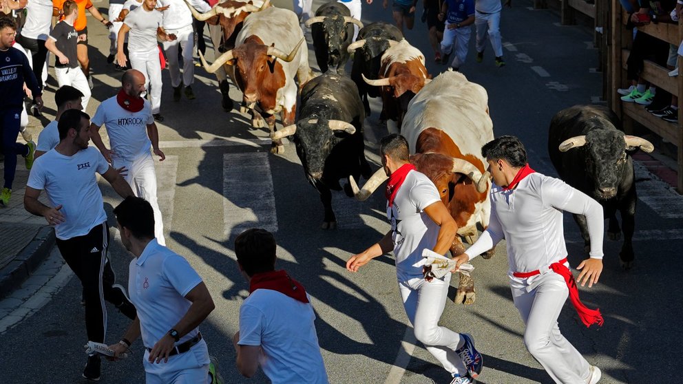 Los toros de la ganadería portuguesa de Rosa Rodríguez han protagonizado el encierro de Tafalla este viernes. Un manso lideró el trayecto, yendo unos segundos por delante del resto de la manada en una carrera limpia que ha dejado a cuatro heridos leves por contusiones. EFE/ Ainhoa Tejerina