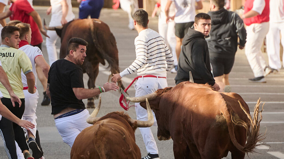 Tercer encierro de las fiestas de Tafalla2024 con toros de la ganadería de Miguel Reta. PABLO LASAOSA