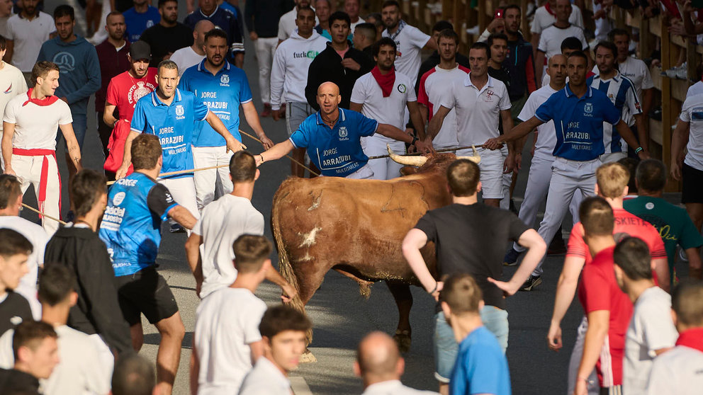 Tercer encierro de las fiestas de Tafalla2024 con toros de la ganadería de Miguel Reta. PABLO LASAOSA