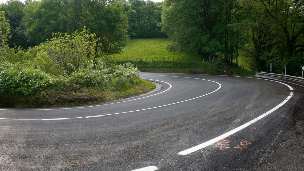 Curva en el puerto de Belate. GOBIERNO DE NAVARRA