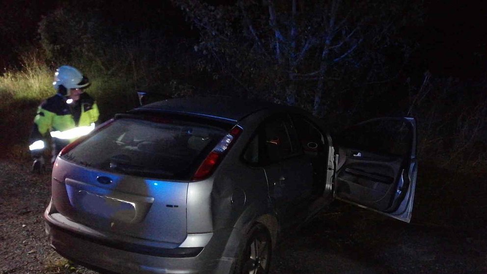 Un bombero junto al coche siniestrado contra un árbol. BOMBEROS DE NAVARRA