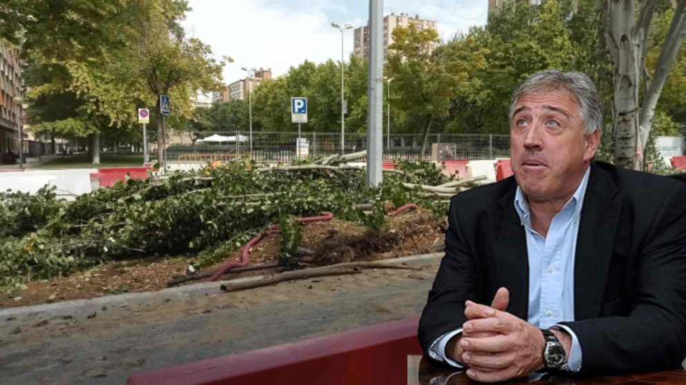 Fotomontaje de Joseba Asirón sobre una foto de los árboles talados en la calle Iturrama de Pamplona.