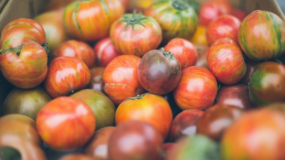 La capital navarra celebrará el EKOmercado y el IX Concurso de tomate antiguo, local y ecológico. CEDIDA