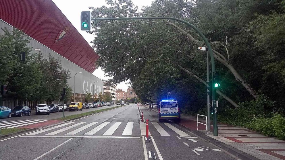 Árboles en la calle Sadar a punto de caer. POLICÍA MUNICIPAL DE PAMPLONA