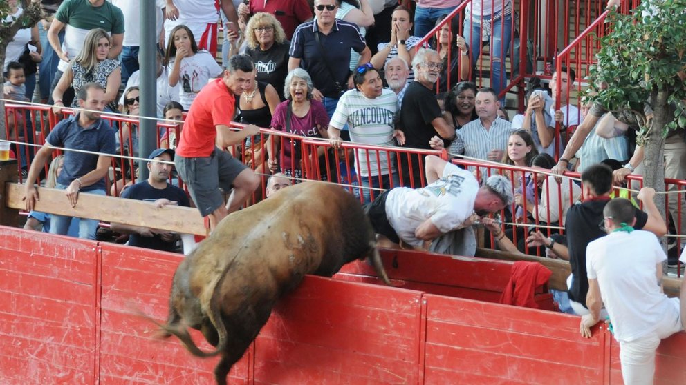 Momento en el que uno toro salta la barrera y accede al callejón en Caparroso. AMAYA LUQUI